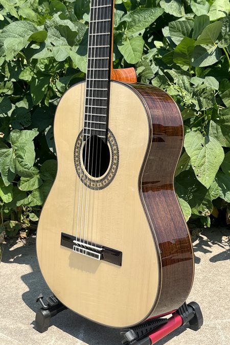 Guitarra de Concierto Aiersi Serie Profesional Curly SC099A - Tapa Sólida