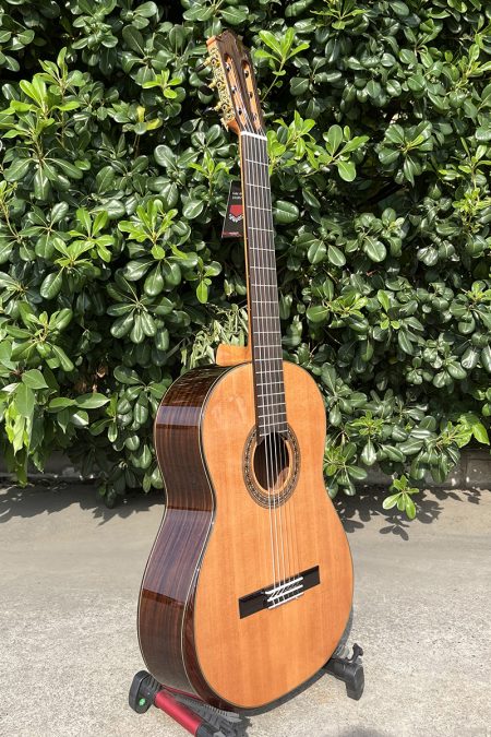 Guitarra Clásica de Concierto Aiersi SC02CRA - Diseño con Armrest Cedro/Palosanto Tapa Sólida