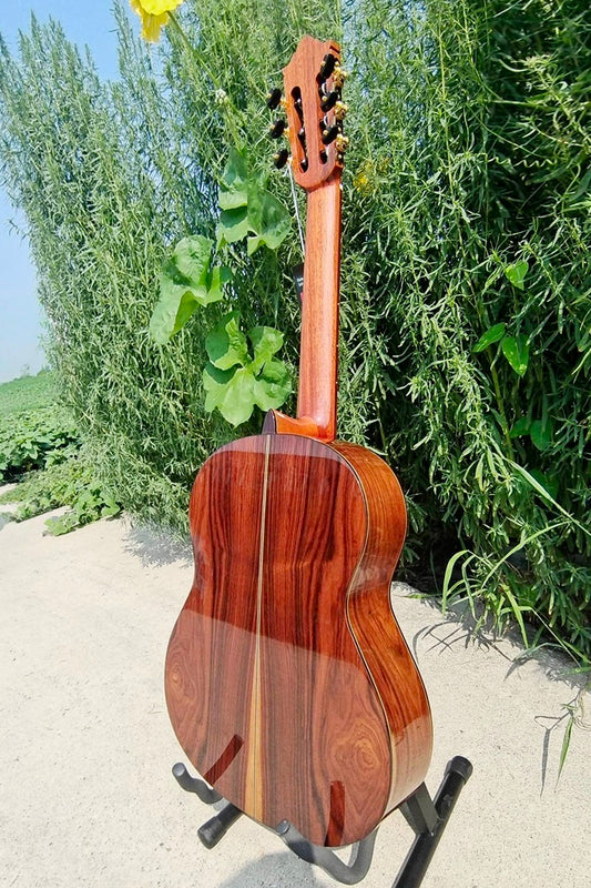 Guitarra de Concierto SC02CSB - Sistema Lattice Cedro o Abeto/Santos Tapa Sólida