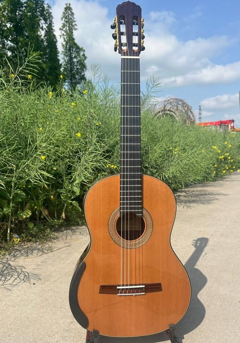 Guitarra de Concierto Aiersi Homenaje a Smallman - Tapa de Cedro Sólido/Palosanto Sólido