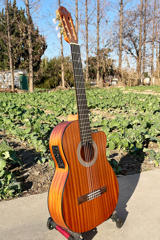 Guitarra Electroacústica Aiersi SC01MMCE Caoba