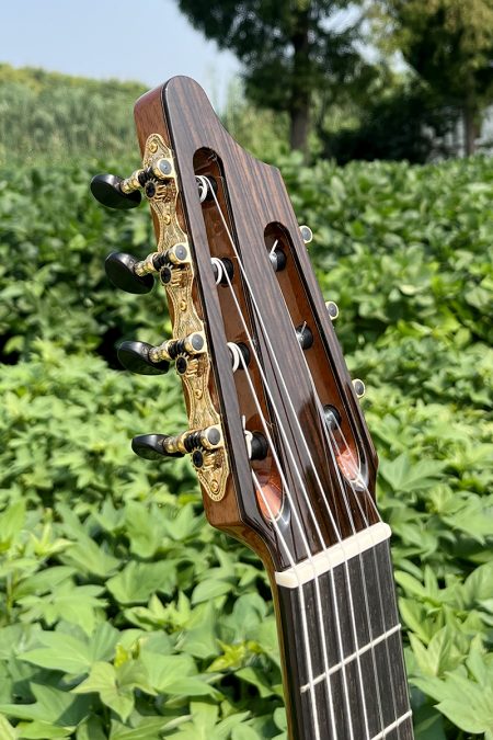 Guitarra de Concierto Aiersi 7 cuerdas - Serie Master Grade All Solid