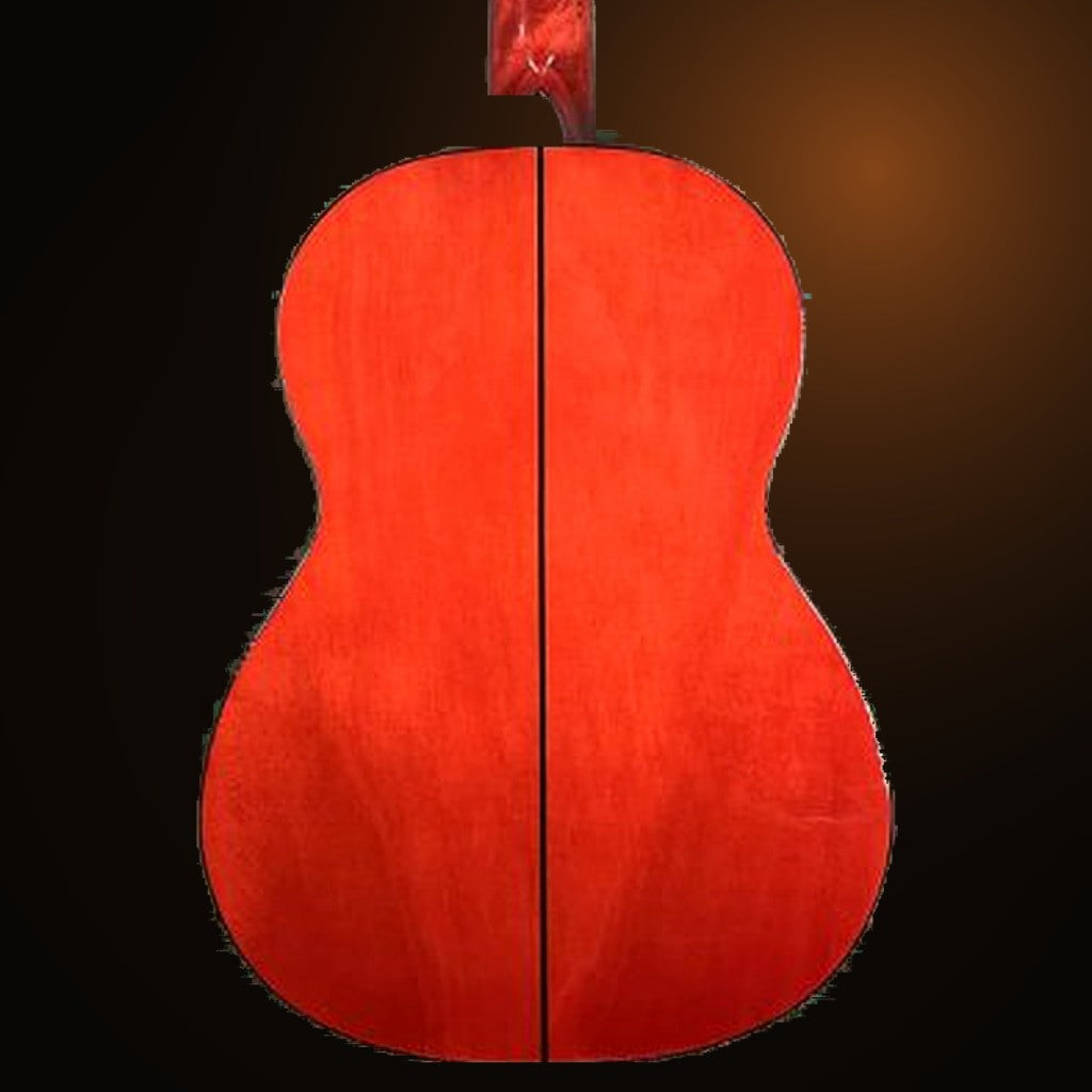 Kauri